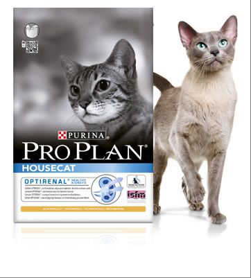 proplan house cat