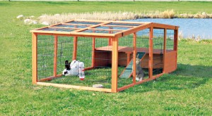  outdoor cage rabbit 