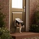  Petdoor Staywell 715 for cats and small pets 