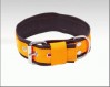  Orange nylon collar lined with soft moose skin 