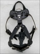 Harness with handle