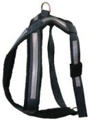 The hunter combination harness Size xxs