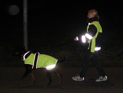 Neon Yellow reflective and thermal blanket