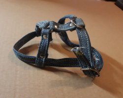 Shoulder harness