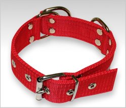 Collar, David, Goliat