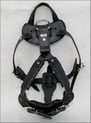 Harness with handle