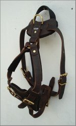 Harness with handle