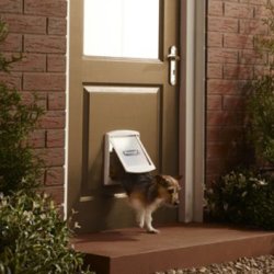 Petdoor Staywell 715 for cats and small pets