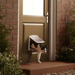 Petdoor Staywell 715 for cats and small pets