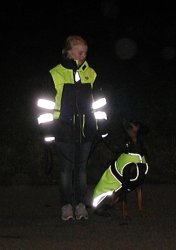 Neon Yellow reflective and thermal blanket