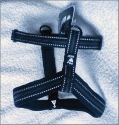 Hurtta Outdoor combination harness