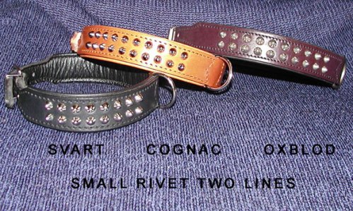 Rivet collar "Silverduo"