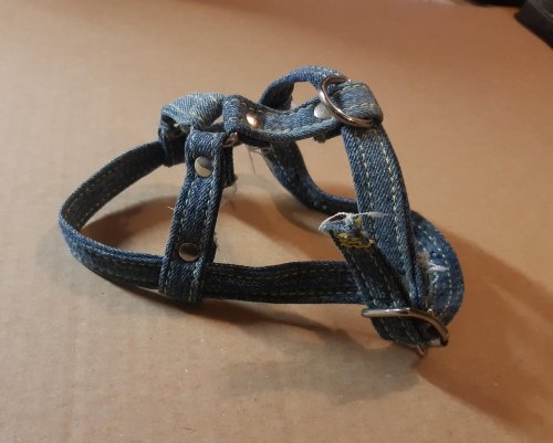 Shoulder harness