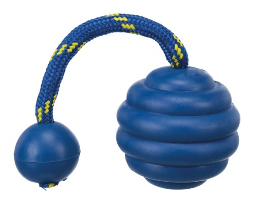 Rubber ball with rope and knob