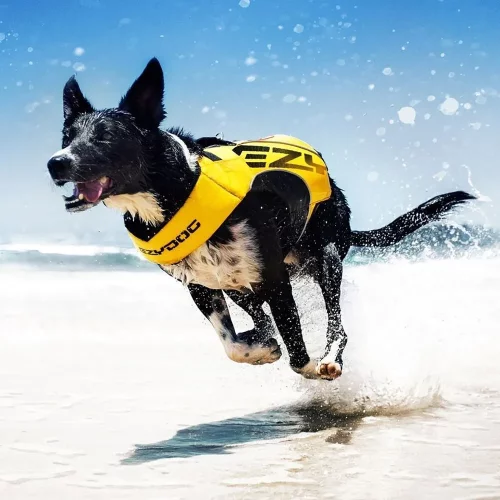 Ezydog Flytv�st X2 Boost Gul