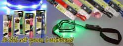 Leash with flashing led light