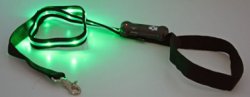 Leash with flashing led light