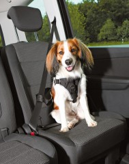  Car Harness Dog Protect 