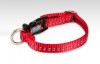  Adjustable collar with reflex 10 mm x 17-27 cm 