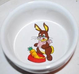  Food bowl, rabbit 
