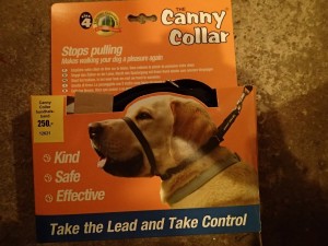  Canny Collar 