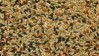  Canary mixture, 1 kg 