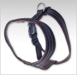 Y-harness leather with reflective 