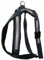  The hunter combination harness Size xxs 