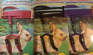  Rabbit harness with leash 