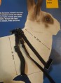  Rabbit harness with leash, nylon 