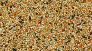  Budgerigar seed mixture deluxe, 1kg 